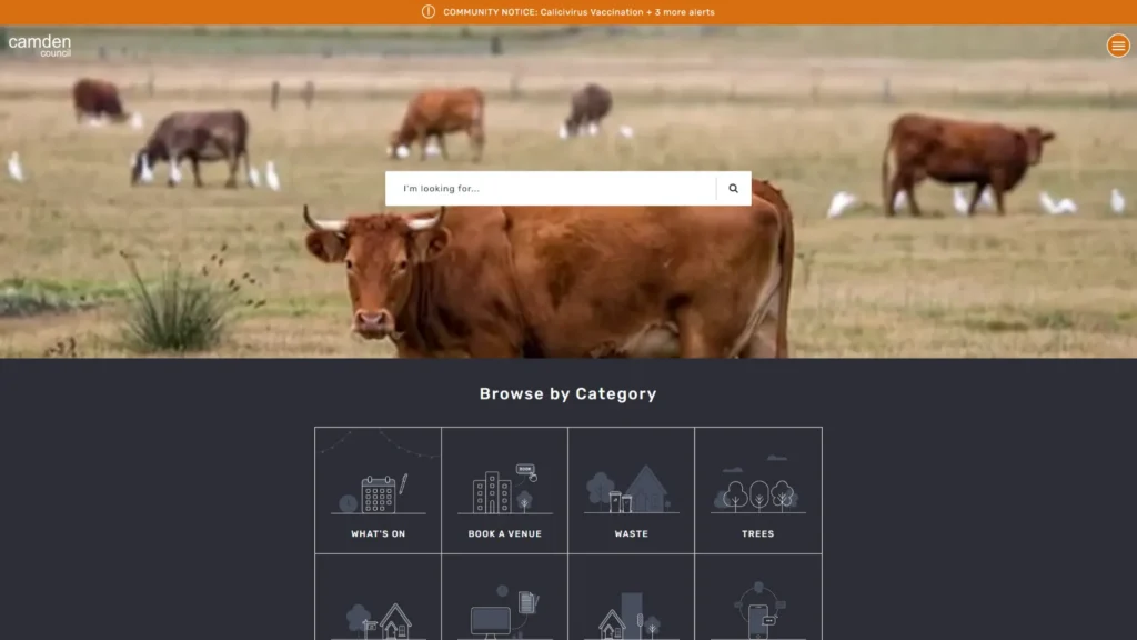 Camden Council website